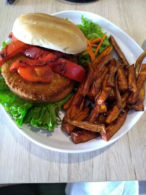 Chicken sandwich at Seed Shack in Gilbert