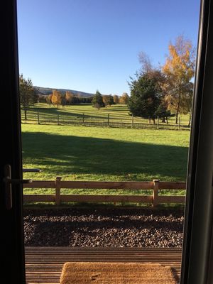 Neighbourly sheep to spot at Whitemoss Lodge B&B in Dunning