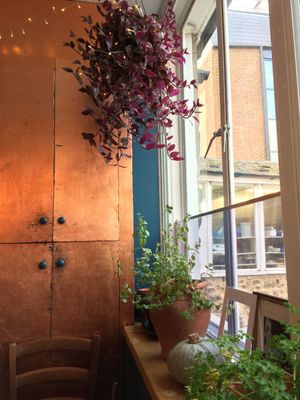 Very Nice design at The Handle Bar in Oxford