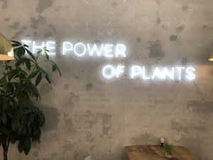 Inside at Plant Power Food in Copenhagen
