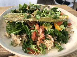 Chipotle main dish at Plant Power Food in Copenhagen