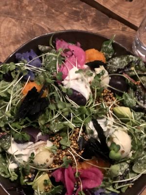 Salat so flavourful and pretty! at Plant Power Food in Copenhagen