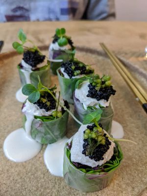 Rice paper roll at Plant Power Food in Copenhagen