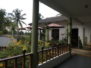 Views inside Green Peace Inn.  at Green Peace Inn in Weligama