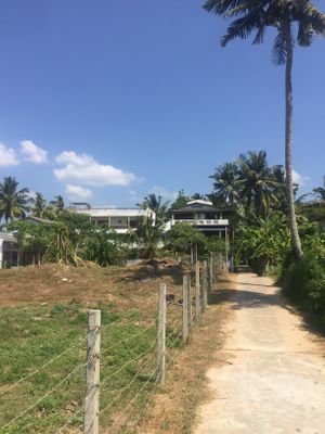 View of Green Peace Inn from the beach.  at Green Peace Inn in Weligama