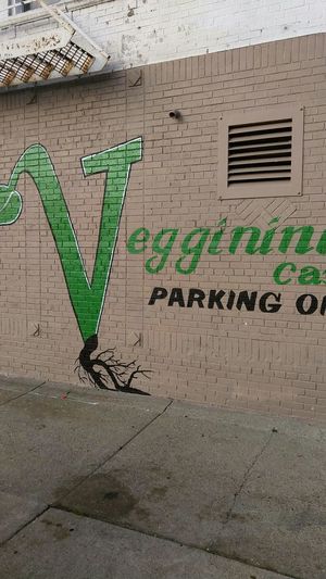 Side parking on Nottingham at Pop Culture Vegan Cafe in Detroit