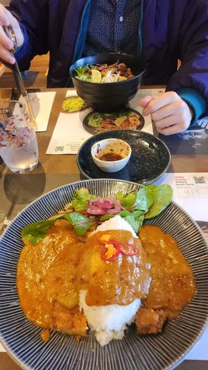 Vegan katsu and veganjaury special dish at Wagamama in Plymouth