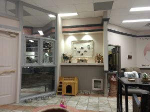 View of Vegaboo at VegaBoo Cat Haven in Regina