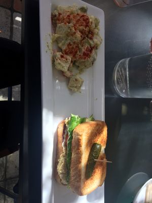 “Tuna” sandwhich with potato salad at VegaBoo Cat Haven in Regina