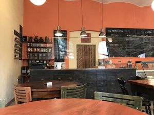 Interior at Momo in Krakow