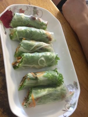 Pesto/tempeh springrolls  at Lovegan in Binh Thuan