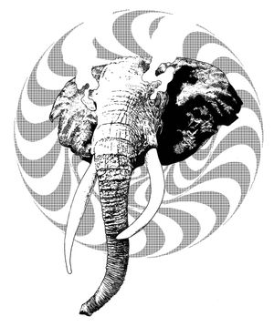 Like An Elephant at Like An Elephant in Lyon