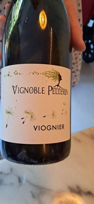  at Like An Elephant in Lyon