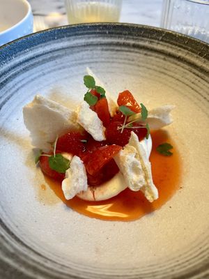   at Like An Elephant in Lyon