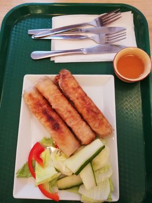 Rollitos de primavera/spring rolls at Vegan Life in Prague