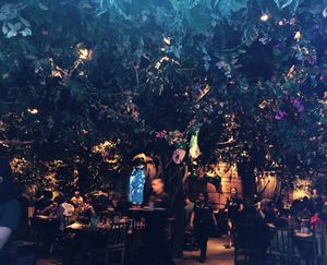 Interior at Disneyland - Rainforest Cafe in Anaheim