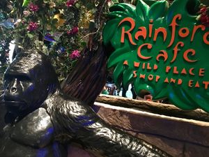 Kid friendly at Disneyland - Rainforest Cafe in Anaheim