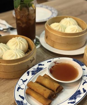 Dumpling and spring rolls  at White Lotus in Darmstadt