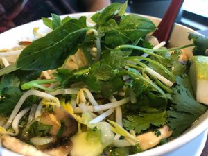 Veggie Pho at Rakuu in Spring