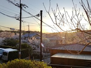 Sunset at Kisaki Yudoufu in Kyoto