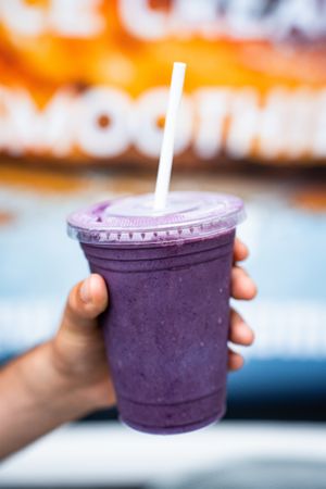 Blueberry Smoothie at The Vegan Nest in Clinton