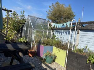 Backyard  at The Mortar & Pestle Vegan Tearoom in Dymchurch