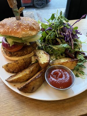   at Hello 123 in Toronto