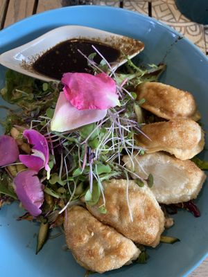 Ginger dumplings  at Nature Cafe/Bar in Frankston