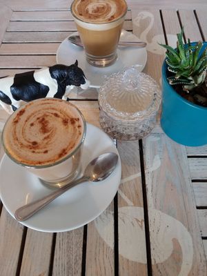 Foreground: Magick Reishi
Background: Magick Coffee at Nature Cafe/Bar in Frankston