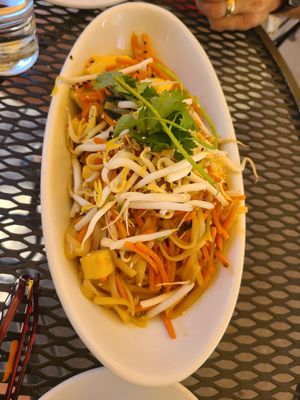 Pan fried noodles with rice noodle at Boulder Dushanbe Teahouse in Boulder