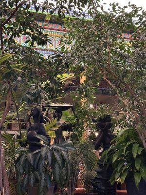 Any restaurant with plants is lovely. 🥰  #Veganuary at Boulder Dushanbe Teahouse in Boulder