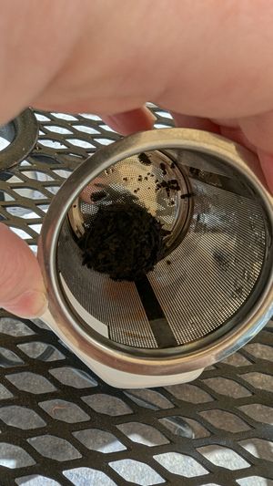 Puerh Tuo Cha tea at Boulder Dushanbe Teahouse in Boulder