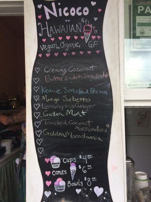 Gluten Free
Vegan
Organic!
Coconut based at Nicoco Hawaiian Gelato in Pahoa