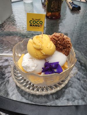 Mango sticky rice ice cream- the rice is at the bottom and is very tasty. at Coco Mango The Garden in Chiang Mai