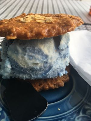 Beautiful Butterfly Pea cookie sandwich - double check the cookies are vegan! at Coco Mango The Garden in Chiang Mai