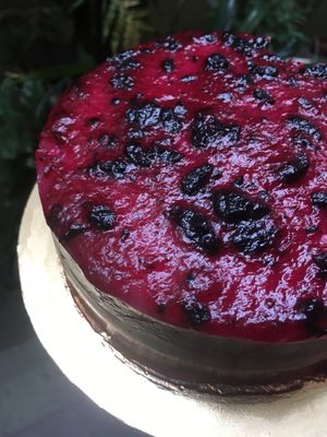 Blueberry Cheese cake at Smart Alec - Alternative Deli in Hyderabad