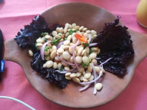 Ceviche de Tarwi at El Patio Rojo in Trujillo