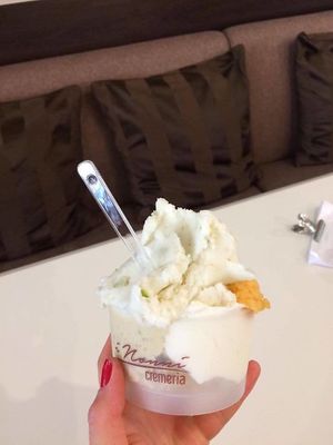 vegan option of icecream, favors: pear, apricot, coconut and the best salty black sesame favor at i Nonni Cremeria in Bratislava