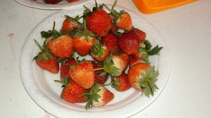 seasonal fresh fruit at Give Green Farm House Restaurant in Muang