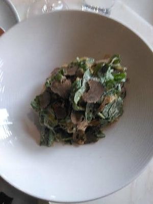 Truffle salad at Plant Miami in Miami