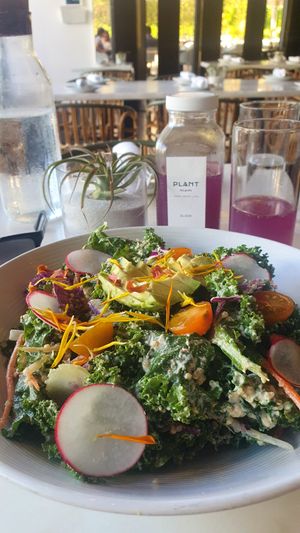 Avocado and kale salad - nothing special and lemonade at Plant Miami in Miami
