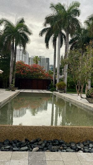   at Plant Miami in Miami