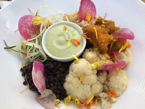 Moroccan Bowl at Plant Miami in Miami