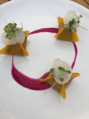 Harvest dumplings at Plant Miami in Miami