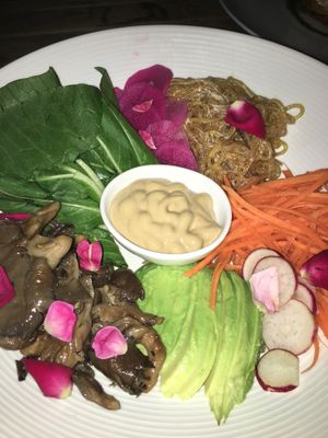 Asian Bowl at Plant Miami in Miami