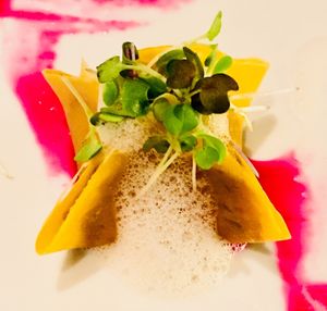 Harvest Dumplings  at Plant Miami in Miami