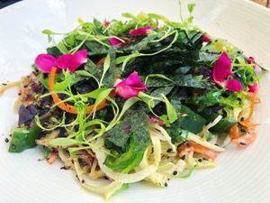 Seaweed Salad at Plant Miami in Miami