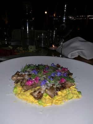 Sunflower risotto  at Plant Miami in Miami