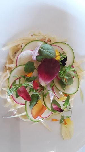 Raw Papaya salad at Plant Miami in Miami