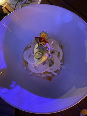 Ceviche at Plant Miami in Miami